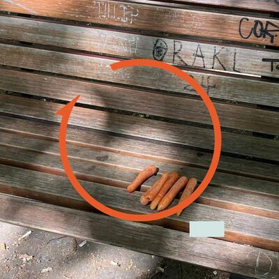 Vol. 103 对话陈以侃：别人的人生，又厉害又快乐？