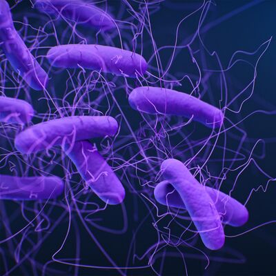 Ep. 29 - The Human Gut Microbiome
