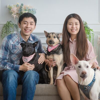 Ep88《浪浪別哭x艾蓮》這媽瘋了不成！？生頭胎前夕養幼犬！且家裡還有兩隻狗！？