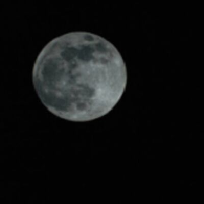 I Don't Want to Live on the Moon
