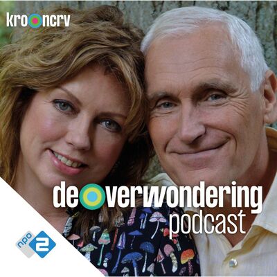 Arthur Japin over het wonder van de liefde