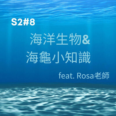 S2#8 海洋生物與海龜小知識 / Feat. Rosa老師