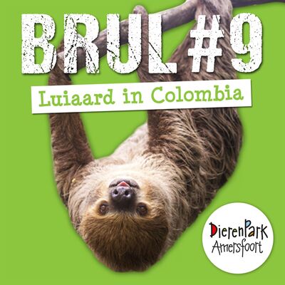 Luiaard in Colombia | BRUL #9