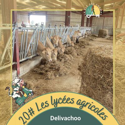 [Delivachoo] - Tout savoir sur les lycées agricoles en 5mn