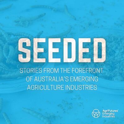 SEEDED: Insects