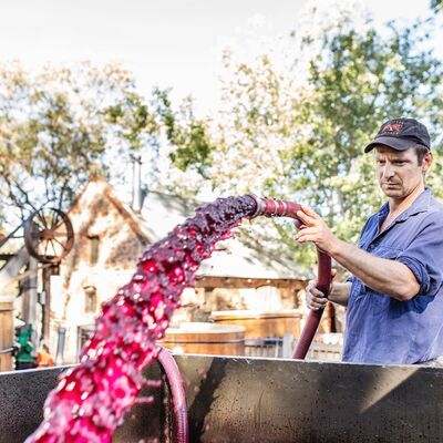 Australian Shiraz: The history, evolution and revolution