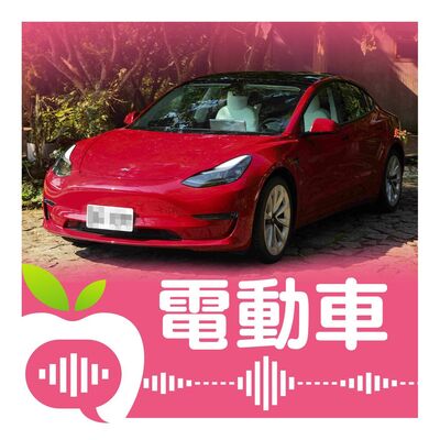 電動車入手？不入手？汽車達人解惑