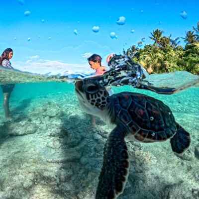 Tagata o te Moana for 19 April 2025