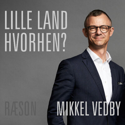 Kan AI gøre os klogere på verdens opbrud? Mikkel Vedby med Lars Christensen i Lille Land, Hvorhen