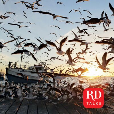 My Story The Essence of John