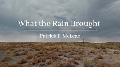 What the Rain Brought