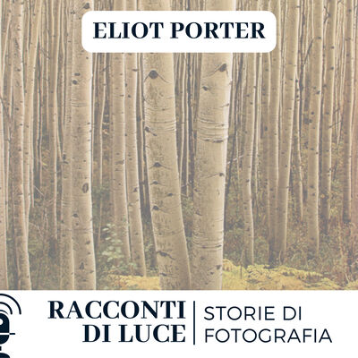 38 Eliot Porter - I colori della Natura - Bonus Colori
