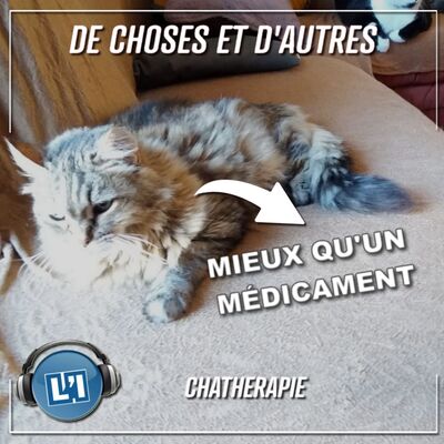 CONNAISSEZ-VOUS LA CHATHÉRAPIE ?