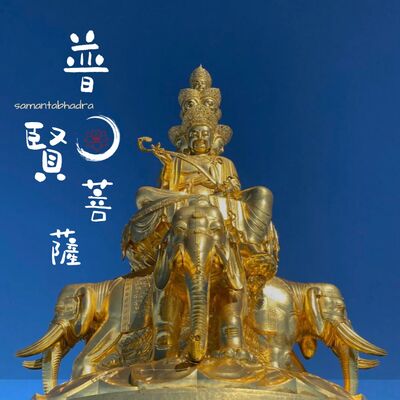 第六期-普賢菩薩、金剛薩埵、金剛手菩薩(一)