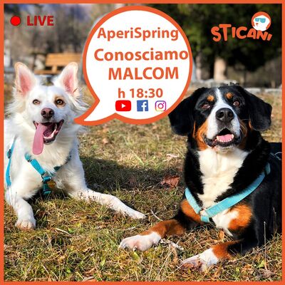 #05 Conosciamo MALCOM | AperiSpring LIVE