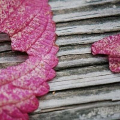 学会宽恕他人善待自己】抑郁焦虑越来越远