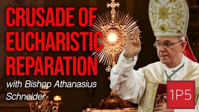 Growing up Under the Soviets, Bishop Schneider Calls a Crusade