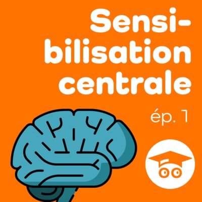 La sensibilisation centrale | aux origines du concept