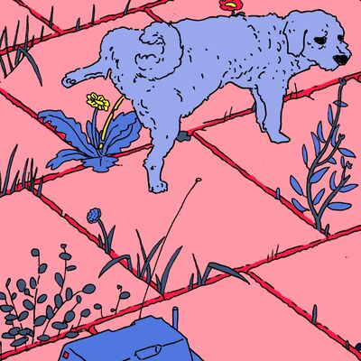 S1E5: Yentl van Stokkum - Wat het onkruid zegt op een warme winterdag