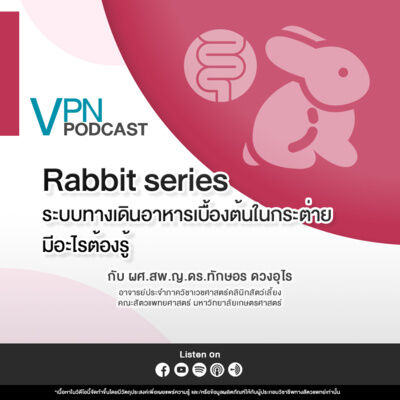 VPN Podcast EP.66 : Rabbit series - ระบบทางเดินอาหารเบื้องต้นในกระต่าย มีอะไรต้องรู้