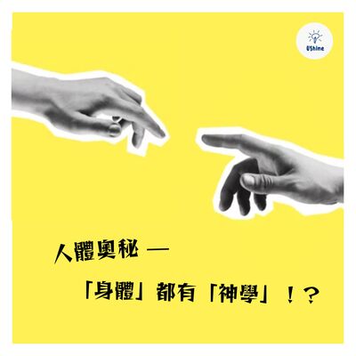 人體奧秘—「身體」都有「神學」！👶
