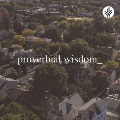 205. Proverbial Wisdom | Discover the Word Podcast