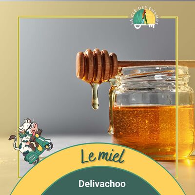 [Delivachoo] - Tout savoir sur le miel en 5mn