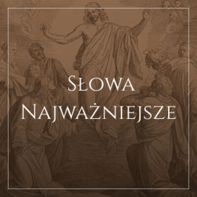 Ewangelia z komentarzem. Gdybym tylko wcześniej zagadał...