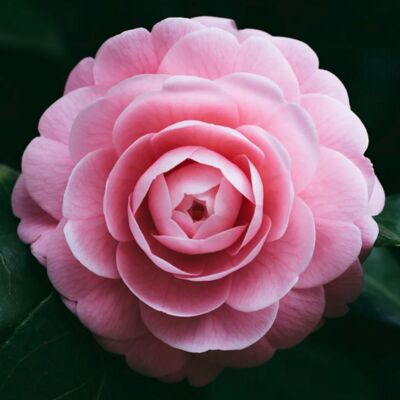 Frankie goes to... 0501/14 ／Yutaka Miyazaki a.k.a Dj Pleasure