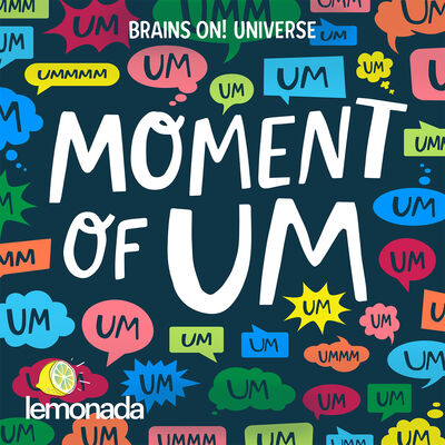 A big update about Moment of Um and the Brains On Universe