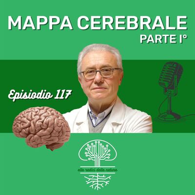 Mappa Cerebrale Parte I°