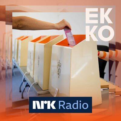 Kven påverkar ditt val?