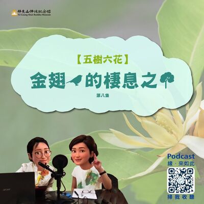 金翅鳥的棲息之樹