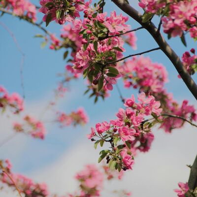 IVERSON Presents: Essential Mix 2025