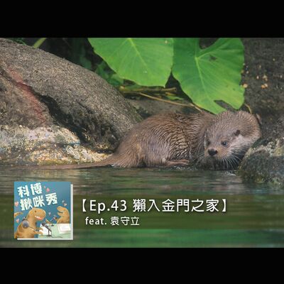 EP.43 獺入金門之家 feat. 袁守立 aka 守水獺守整夜的守立