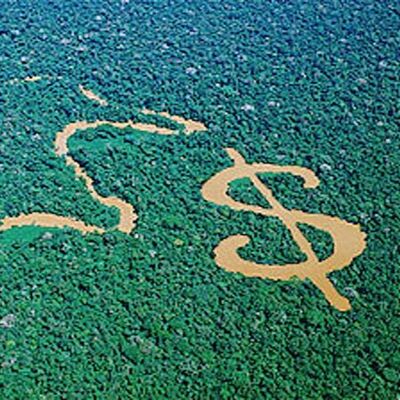 Can Economics Save Climate Change?