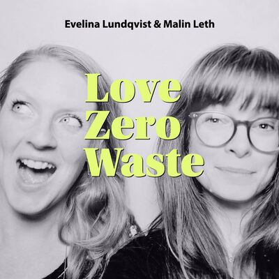 Cities and regions approaching zero waste (with Andrew Marr & Joâo Bernardo Casali)