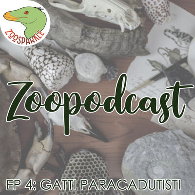 Zoopodcast #4 - Gatti Paracadutisti 