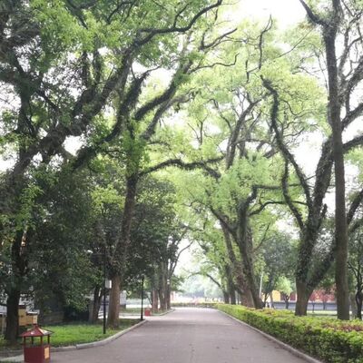 人民民主政权法律制度