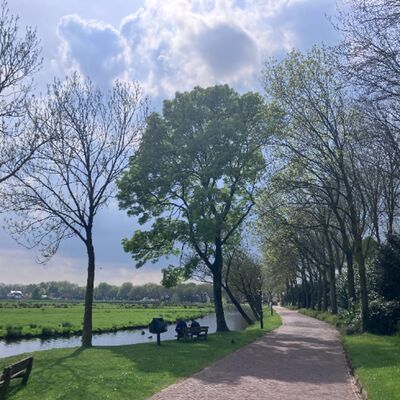 zinloos de weg die ik ga