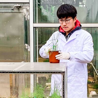 Glyphosate resistance mechanism with similarities to cancer drug resistance in humans identified