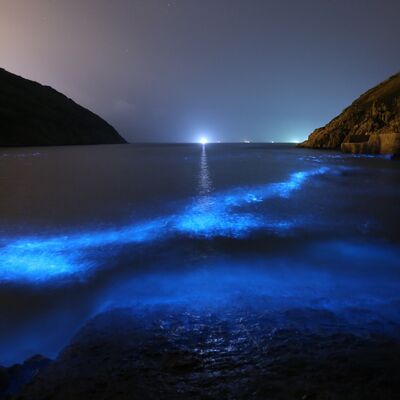 以無我無人無衆生無壽者，修一切善法，則得阿耨多羅三藐三菩提