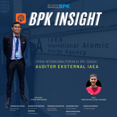 Kiprah Internasional Pemeriksa BPK sebagai Auditor Eksternal IAEA