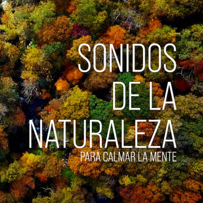 Sonidos de la NATURALEZA para RELAJAR la MENTE