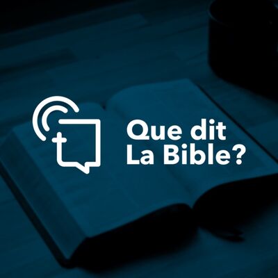 #289 - Faut-il "rechercher le bien de la ville dans laquelle je me trouve" ? (Jérémie 29.7)