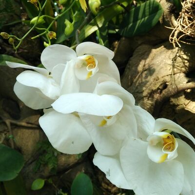 汇明分享电影《芳华》，关于青春、群居、选择、幸福的感悟