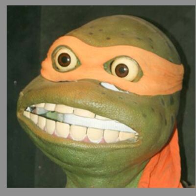 164_VÄRLDENS ÄLDSTA SKÖLDPADDA