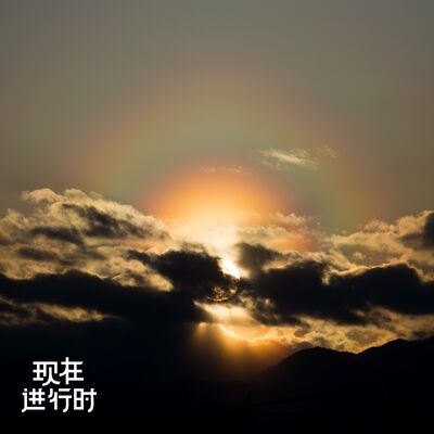 Vol.77 为什么解决花粉症这么难？这是个社会问题！