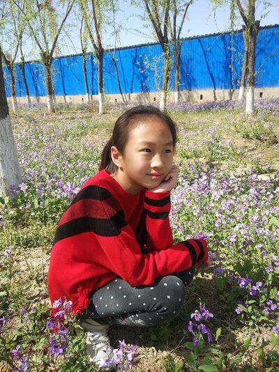 我的作文：乡村美景