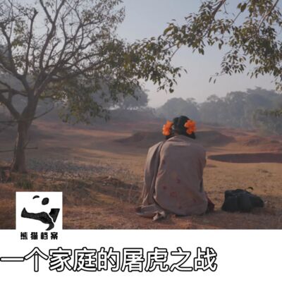 E02. 当女儿遭遇侵犯后：一个家庭的屠虎之战